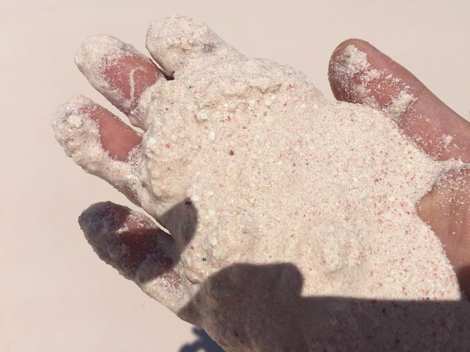 巴哈马旅游风景2020,巴哈马海滩旅游攻略