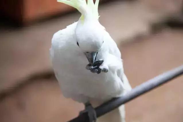 被遗忘的海南,海南被遗忘的浪漫之地