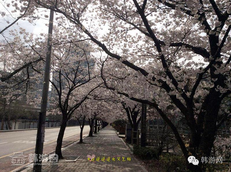 闺蜜两个去超市买零食吃,闺蜜两人闯天下