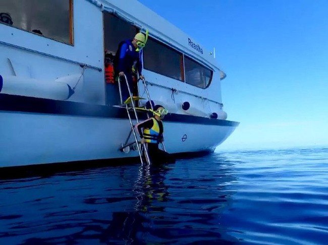 马尔代夫莉莉岛适合几月份去,马尔代夫莉莉岛旅游攻略