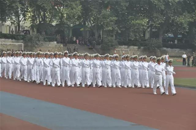 又到一年高三毕业季,又到了毕业季挥手告别