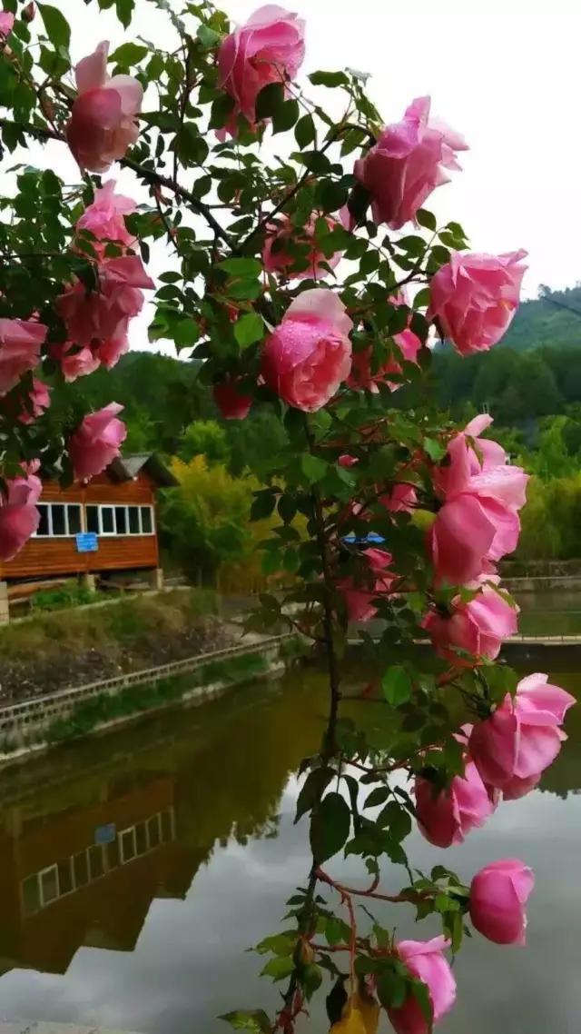 时光不老我们不散的意思是说什么,时光不老我们不散留下美好回忆