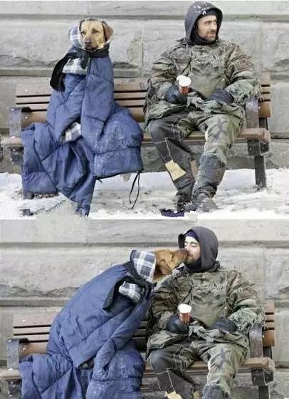 宠物感动瞬间催泪视频,宠物感人