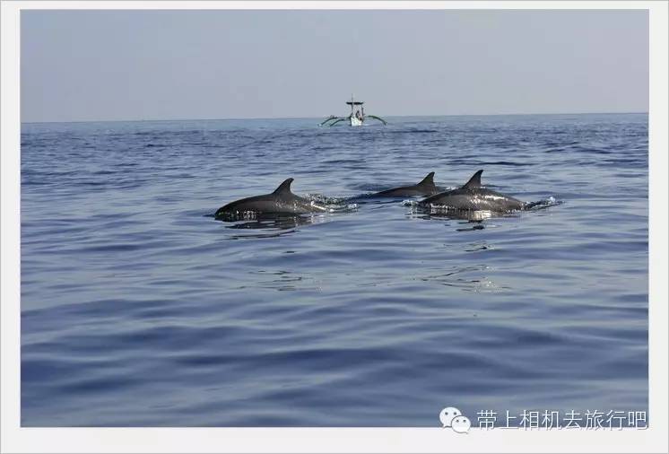 机车环游视频大全,机车环游世界记录