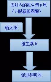 缺维生素d不缺钙是怎么回事,缺钙缺维生素d吃什么好