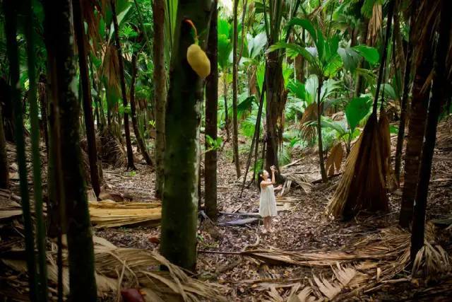 比马尔代夫还美的地方,比马尔代夫还美的国内海岛