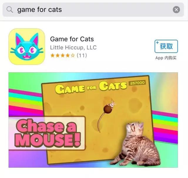 关于猫咪的9个app,喵星人铲屎官必备