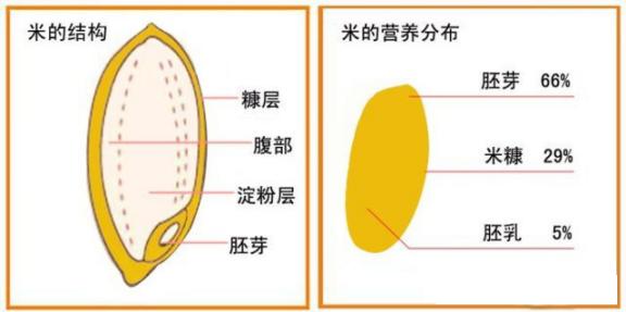 快！拿个大点的盆子，接住我的口水！