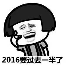嗖的一下，2016年即将过去一半了！