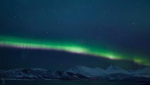 冰岛战胜英格兰维京战吼,冰岛2比1英格兰维京战吼