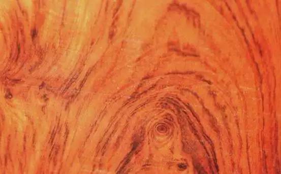 品鉴木头完整版,品鉴一般鉴别什么物品