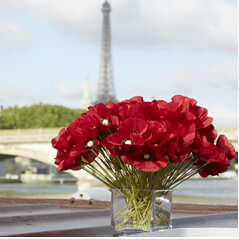 kenzo品牌中文叫什么,kenzo品牌介绍图文