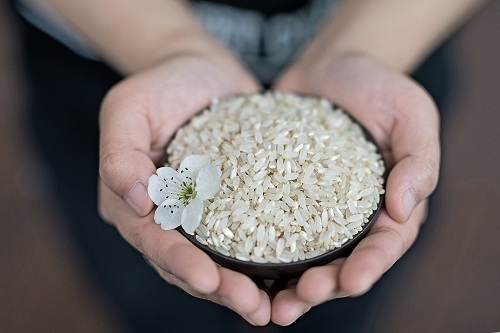 脚气病患者福利来啦！日本人为什么吃胚芽米？原因在这！