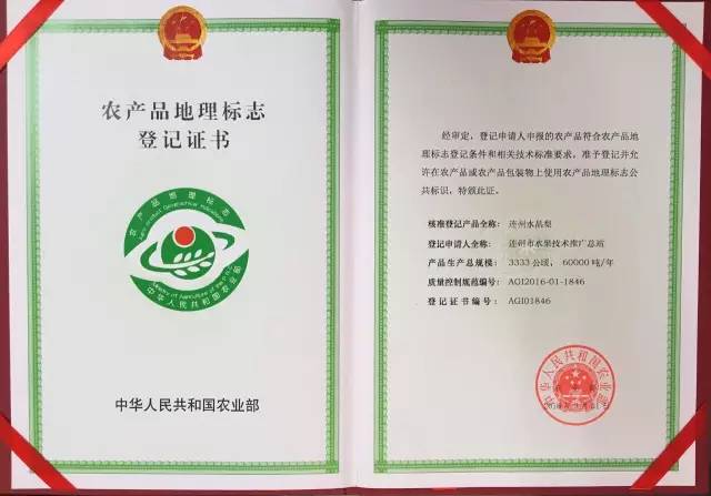 来咯！2016连州水晶梨节