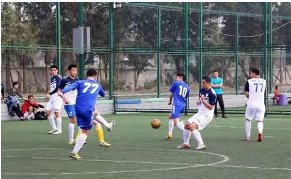 欧洲杯足球在哪里踢得好,2024年欧洲杯足球场一览表最新版