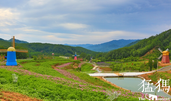 美爆了！国贫村成花海：鲁山34户贫困户，都成了景区大股东