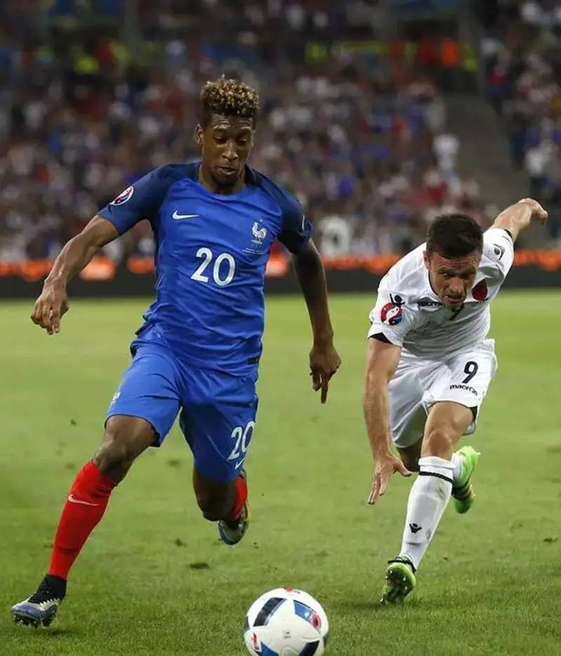 欧锦赛法国比赛,法国欧锦赛名单