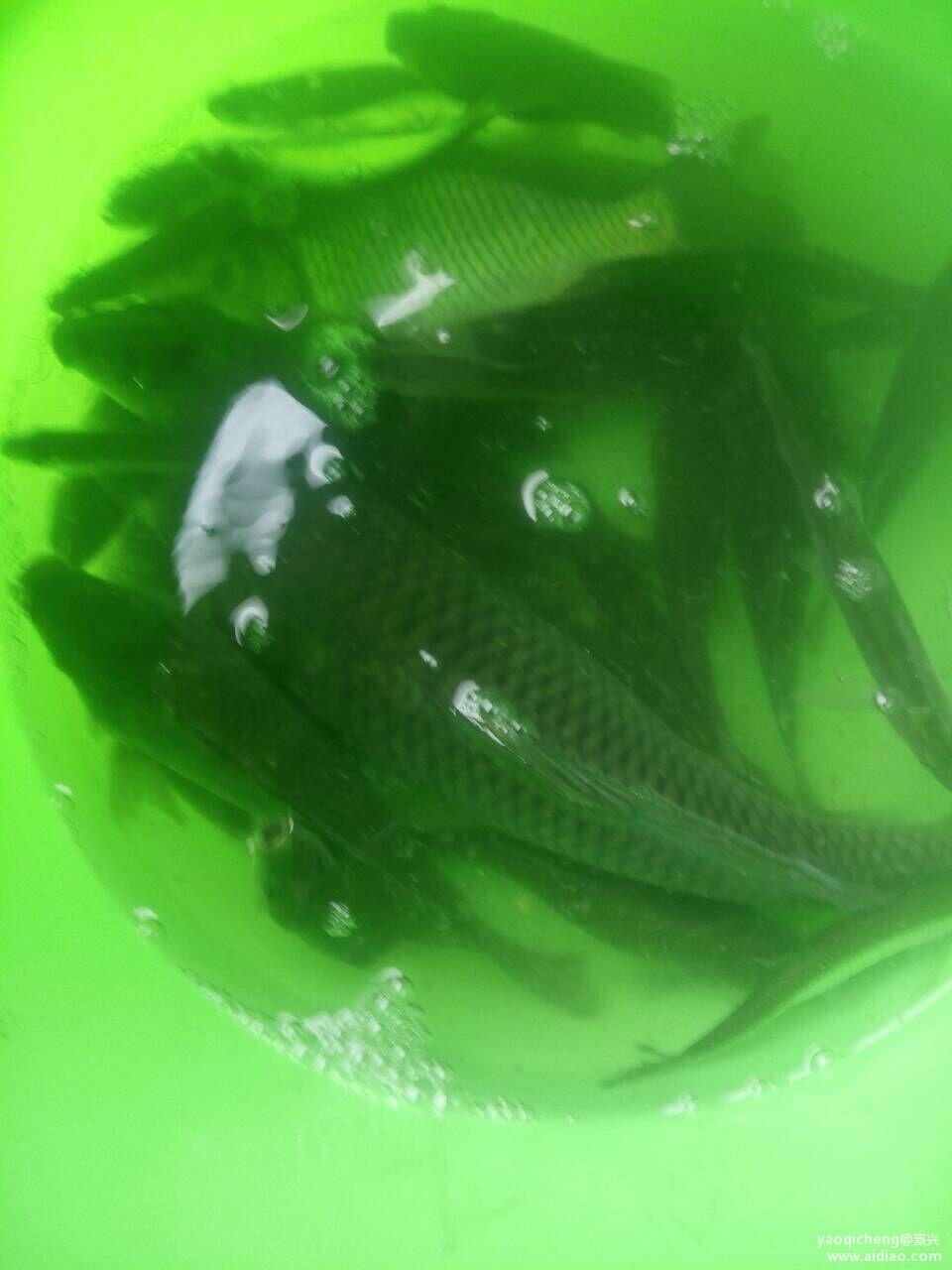 晚上休闲娱乐时刻,晚上休闲游玩