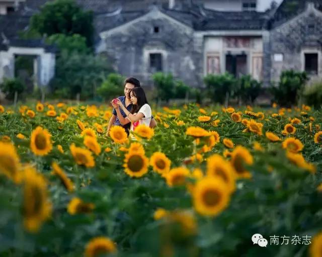 丰顺和大埔,大埔丰顺篮球比赛