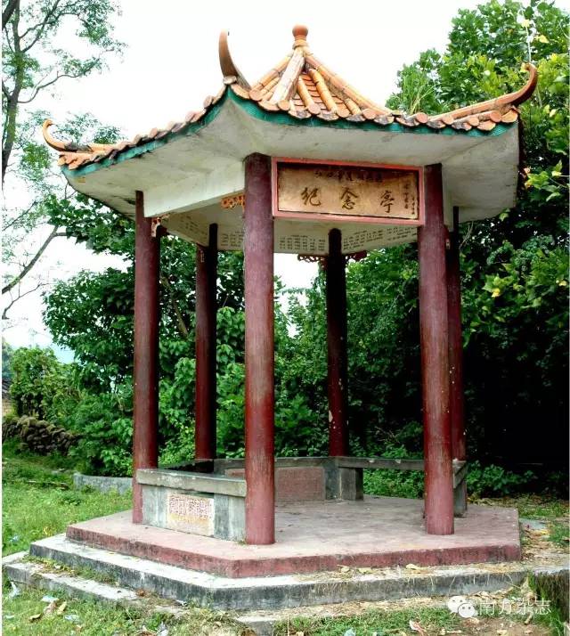 丰顺和大埔,大埔丰顺篮球比赛