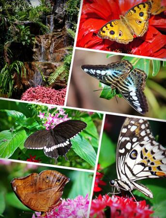 世界上最便宜的机场免税店,全球最好卖的机场免税店