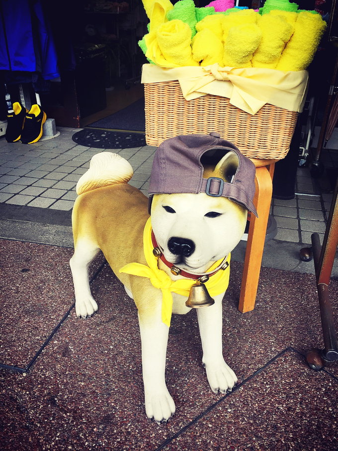 【不去会死】2016.春の小游-不走寻常路—日本升龙道,高山、白川乡)小丸子博物馆,附最新升龙道券使用报告