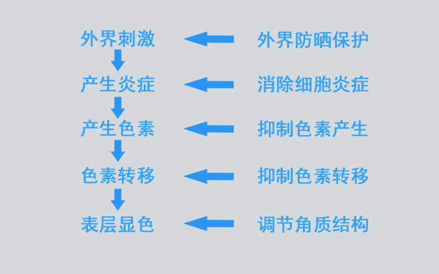 欧莱雅和珀莱雅的水乳测评,梦妆和欧珀莱哪个护肤品好
