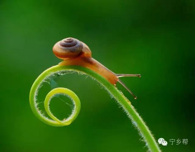 湖南乡村记实《童年杂记——虫伴》，值得一读！