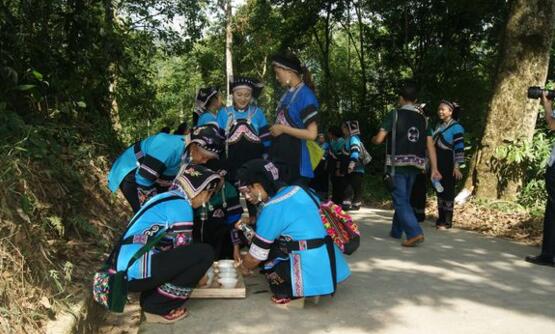 红河州少数民族最多的县市,红河州的少数民族有哪些