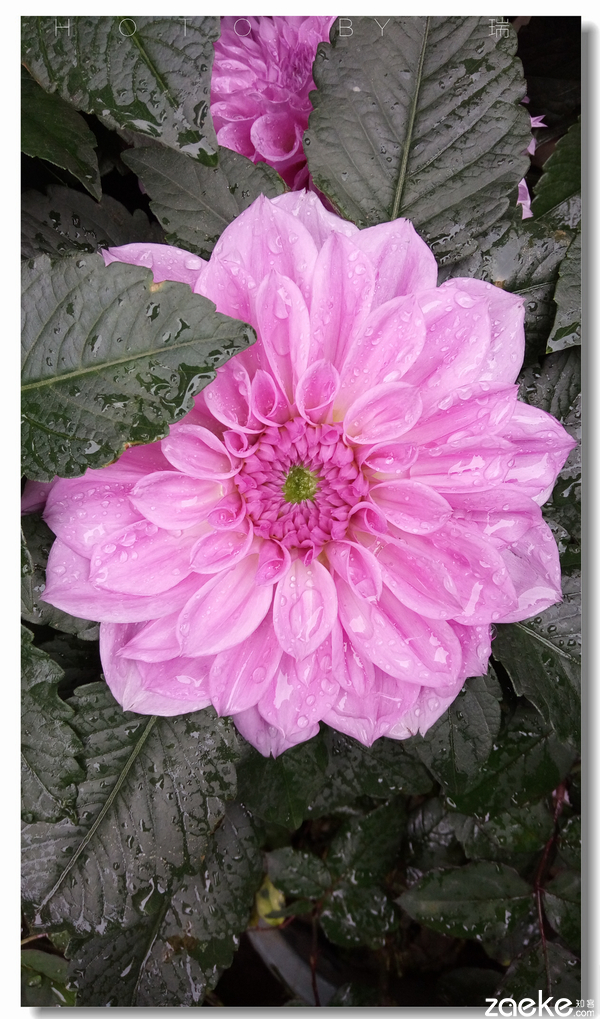 vivox60进游戏的速度,vivox6手机进入fastboot模式