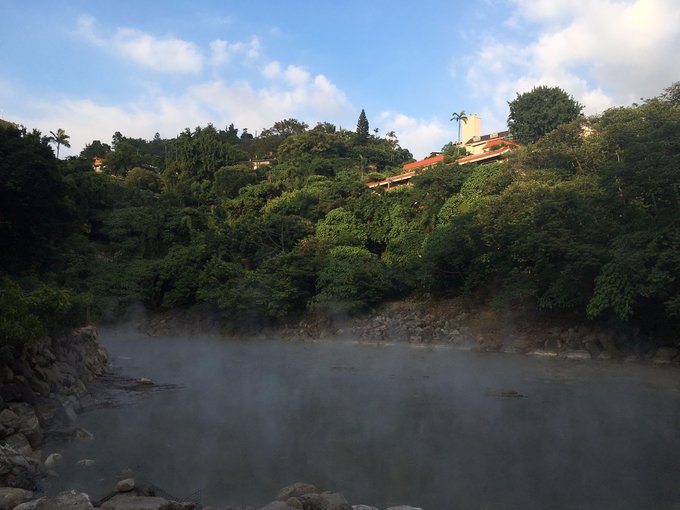 一路惊喜旅行,一路惊喜飞鸟和蝉