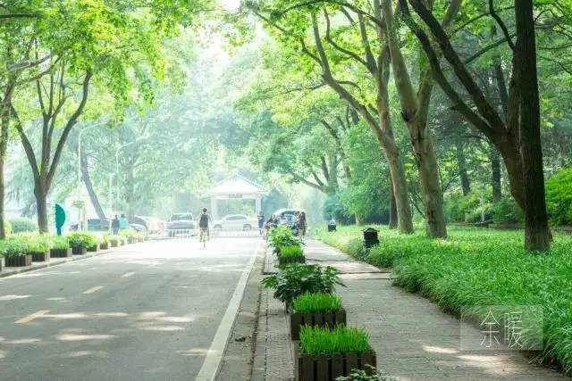 Hey，原来你是这样的小学期！|华广之声