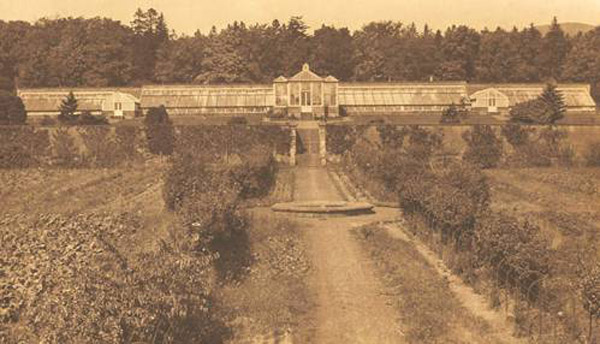 一个人死而复生是什么体验呢,死而复生是一种怎样的体验