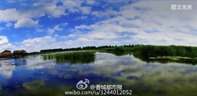 咸宁将建通用机场看完这条微信，把不可错过的16条咸宁新闻都补上！