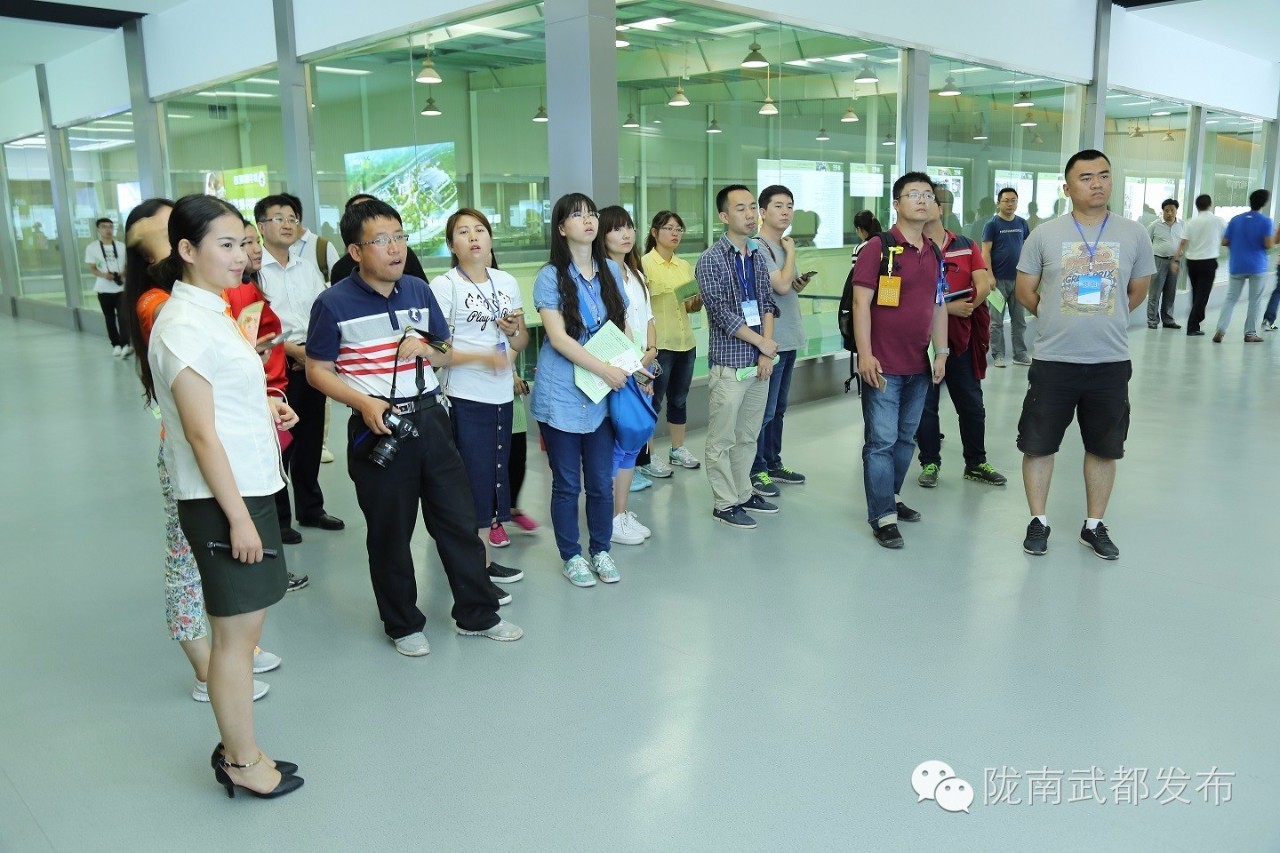 武都祥宇油橄榄,陇南武都祥宇油橄榄