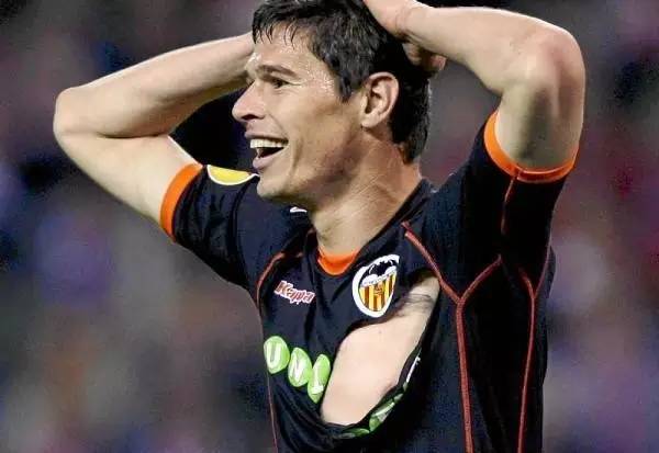 瑞士队视频,瑞士牧羊犬幼犬怎么看纯不纯