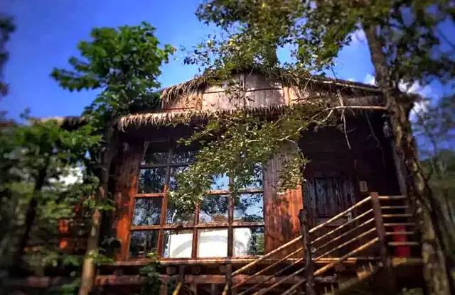 东南第一山私藏浙南最美的风情,浙江山林美宿攻略