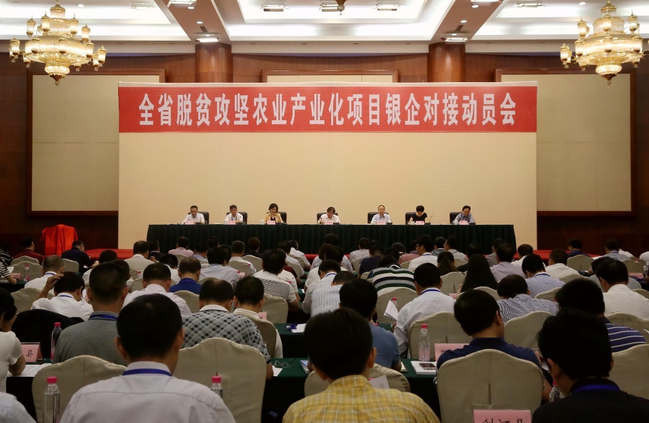 先锋关注省政府牵线，银企“相亲”，14天“撮合”项目超800个