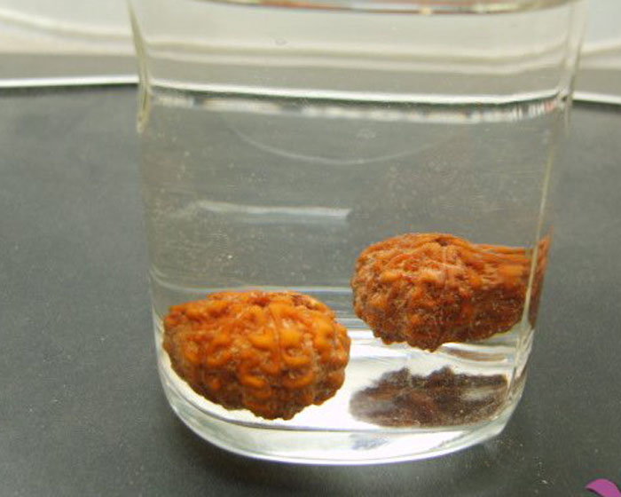 金刚怎么清洗视频教程,金刚网纱窗的清洗方法