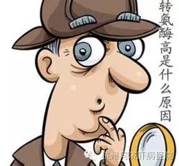 中医治疗转氨酶高,转氨酶高需要治疗吗