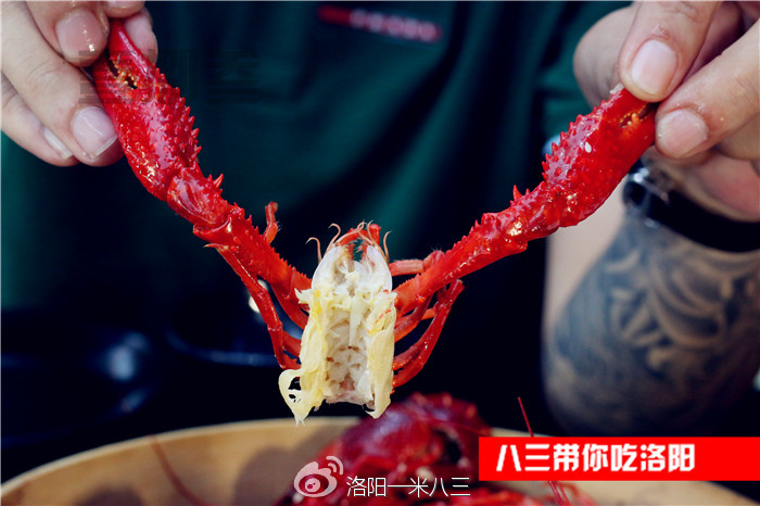 八三带你吃洛阳卖海鲜的处女座老板