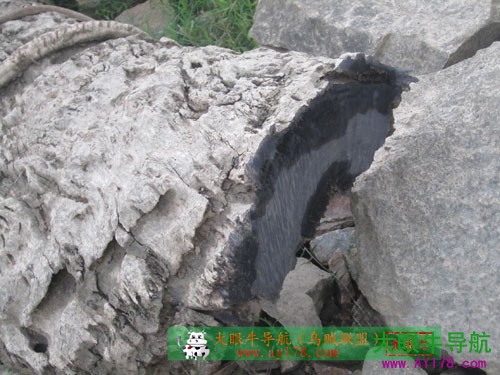 东方神木乌木金丝楠阴沉木,巨大乌木是阴沉木