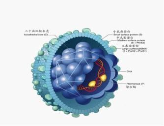 天生不能生育能治愈吗,什么病需要一直吃药还影响生育
