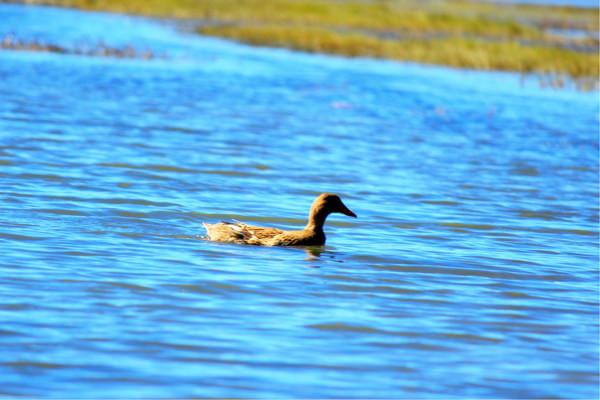 人生若只如初见在广州,人生若只如初见云南