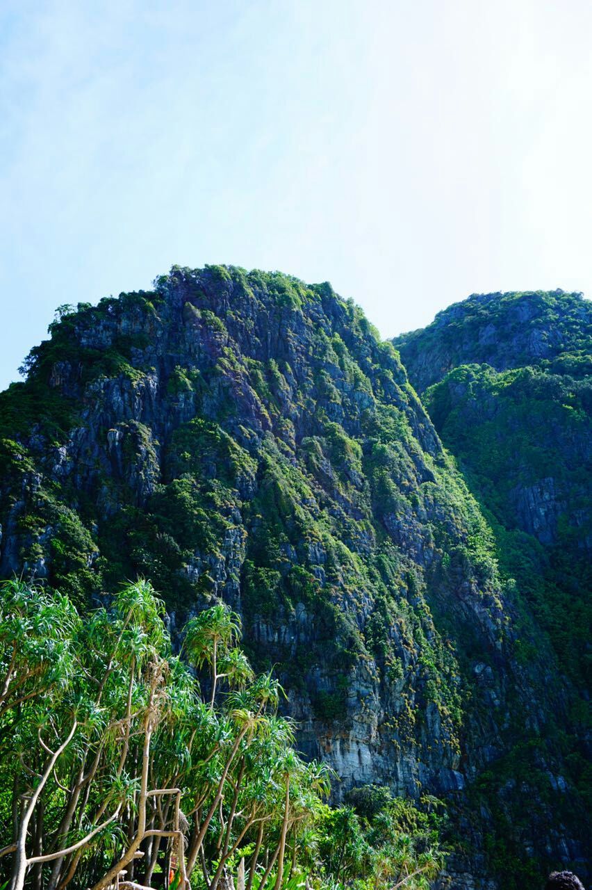 见摄者：普吉岛行之三珊瑚礁的梦，梦幻般的蓝，和蜥蜴面对面