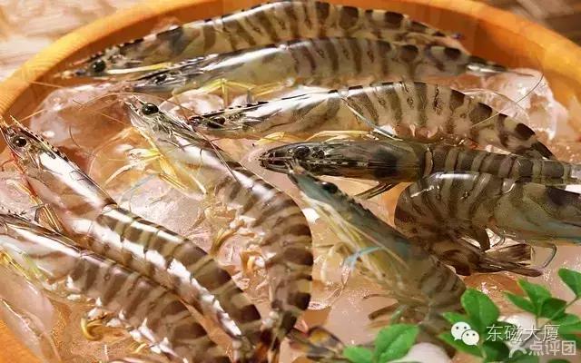 注意！麻辣酷派海鲜大咖秀重磅来袭！