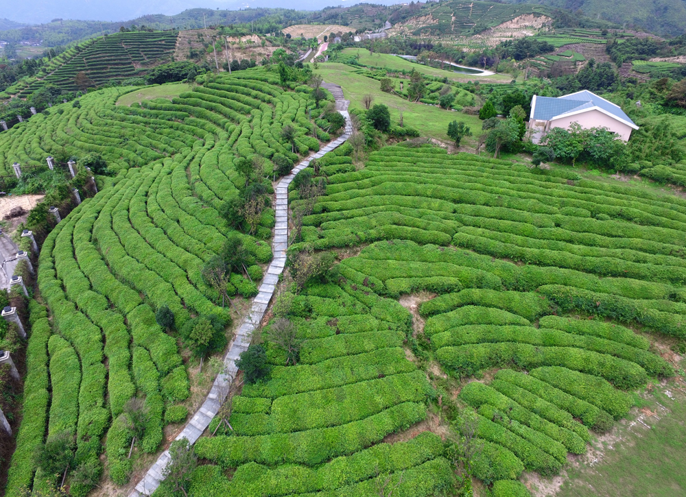 上帝之眼看东营,上帝之眼俯瞰众生