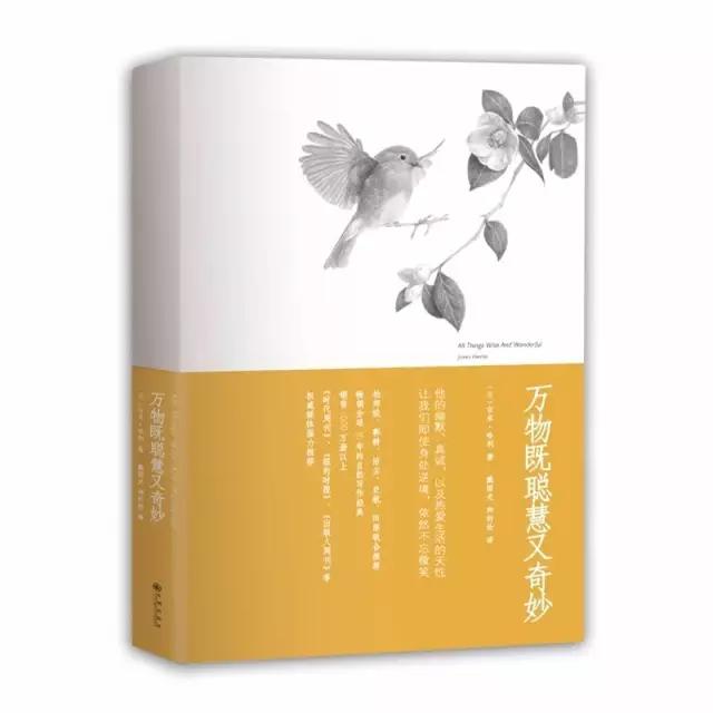 这六本书称得上治愈系天花板,这6本书熬通宵也要读