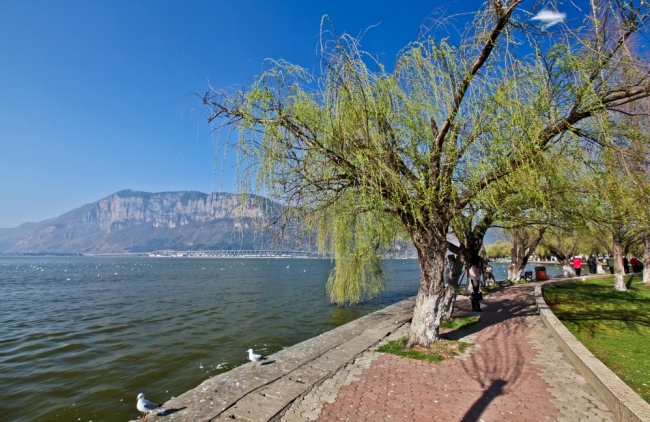 人文自驾国足主帅高洪波、前米卢都青睐的昆明海埂基地周边景观