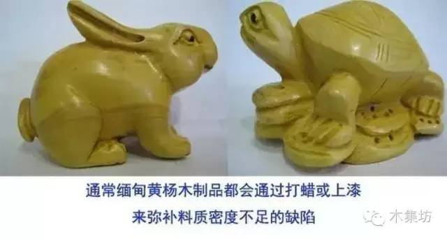 如何鉴别木的真假,真假木桐鉴别